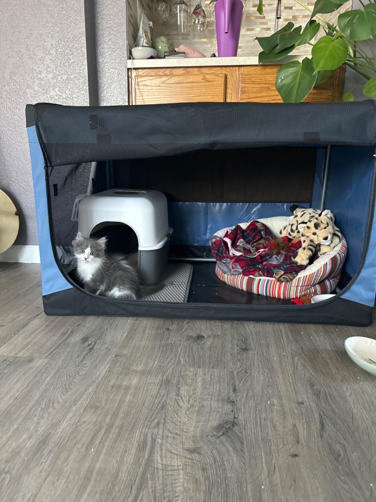PETSFIT 30