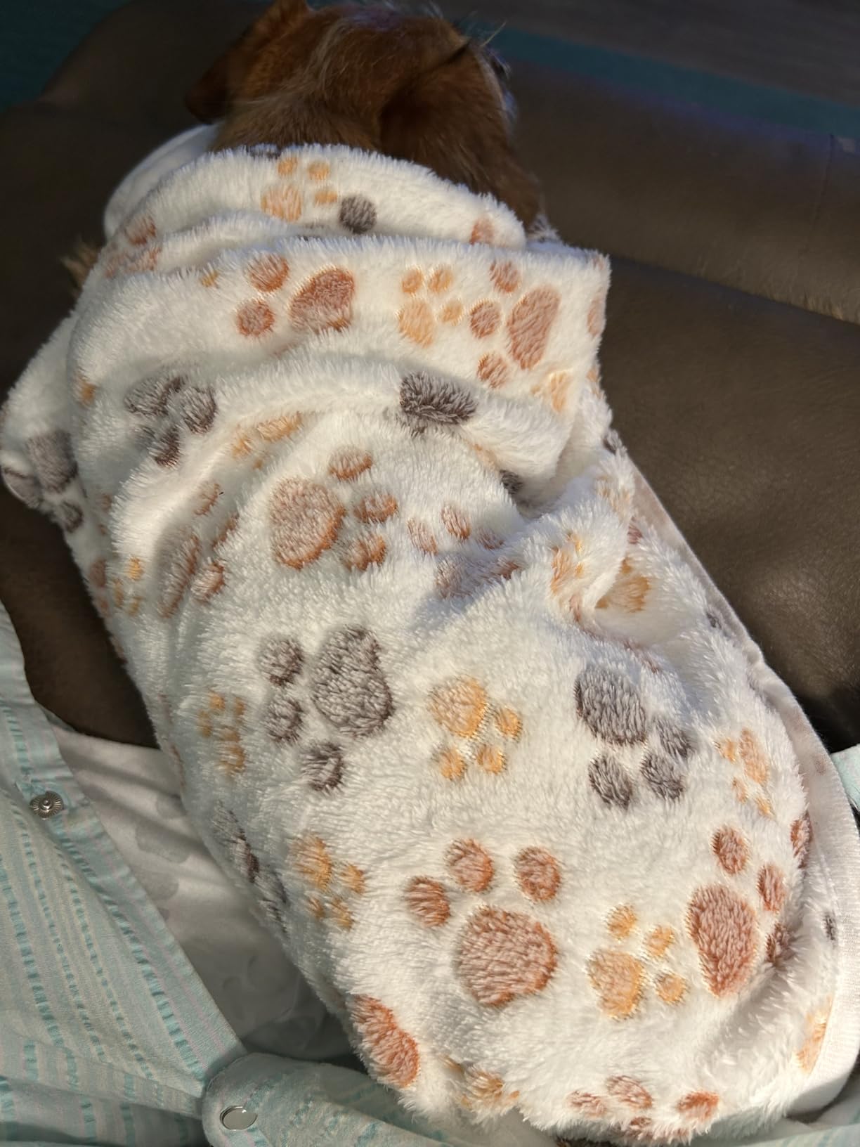 Luciphia Dog Blanket 3 Pack, Soft Cozy Fleece Throw for Puppy Cat,23