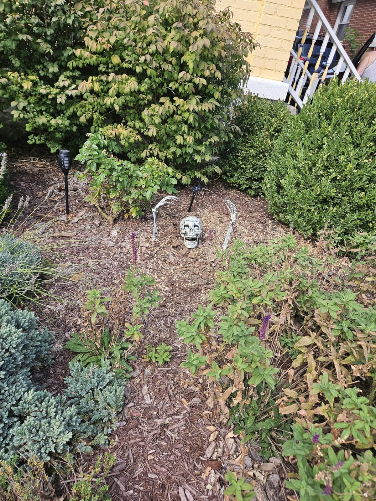 3 Pc Realistic Skeleton Yard Stakes, Halloween Decorations Outdoor customer photo 2