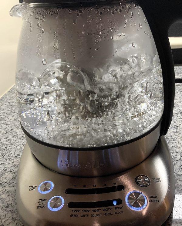 Breville BTM500CLR Smart Tea Infuser Compact, Brushed Stainless Steel customer photo 2