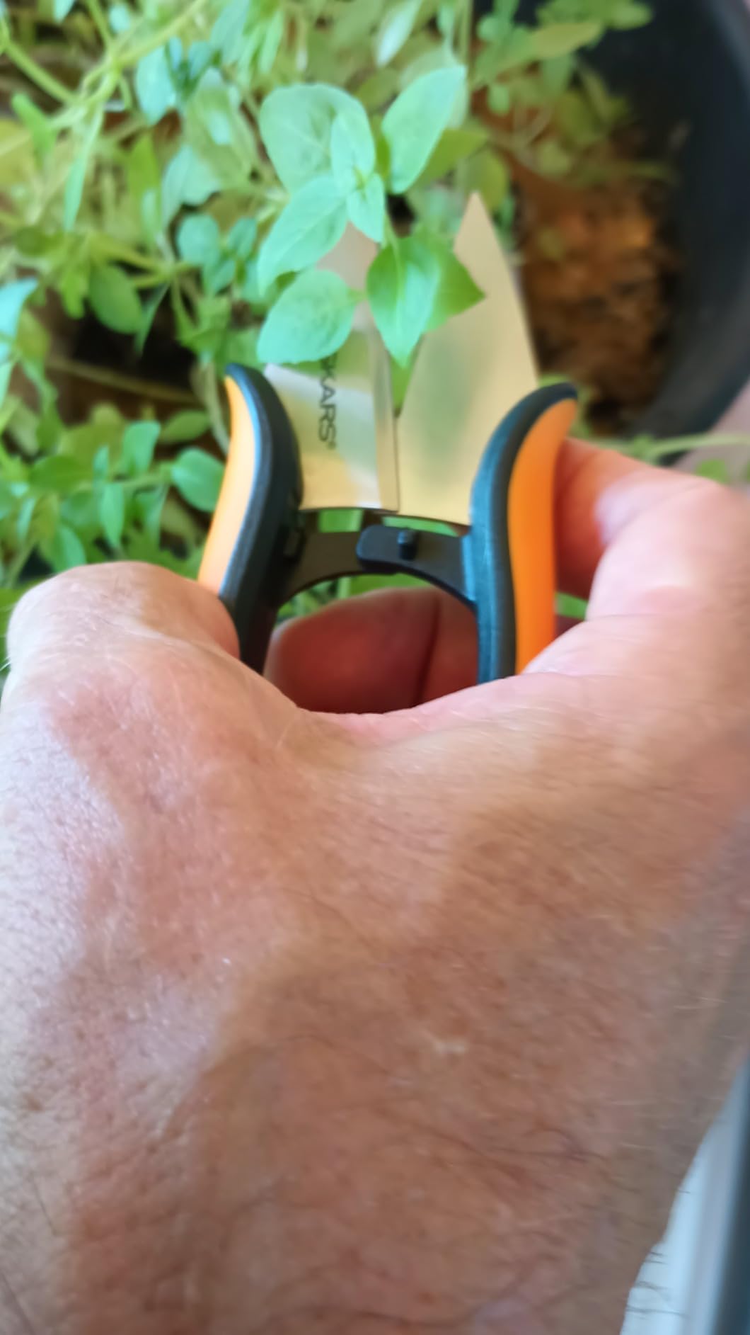 Fiskars Herb Garden Scissors, 5
