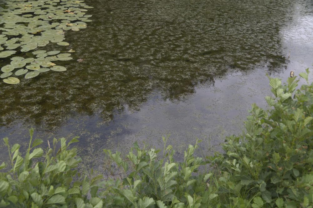 77mm Circular Polarizers Filter, K&F CONCEPT 77MM Circular Polarizer Filter HD 28 Layer Super Slim Multi-Coated CPL Lens Filter (Nano-X Series) customer photo 2