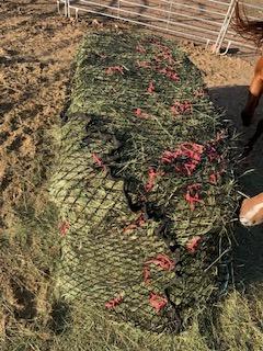KNOTLESS Heavy Duty 5mm Thick Round Bale Slow Feed Hay Net 6x6 (Hole_Size_1.5 inches) customer photo 1