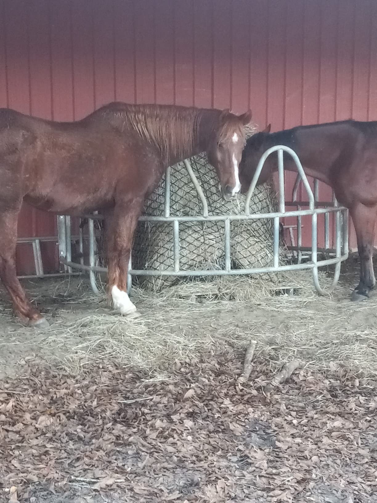 KNOTLESS Heavy Duty 5mm Thick Round Bale Slow Feed Hay Net 6x6 (Hole_Size_1.5 inches) customer photo 2