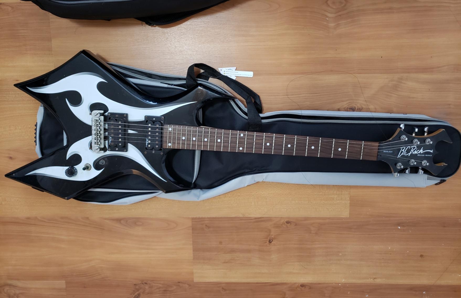 Wayfinder Standard Lightweight Electric Guitar Gig Bag (WF-GB-ELEC) customer photo 1