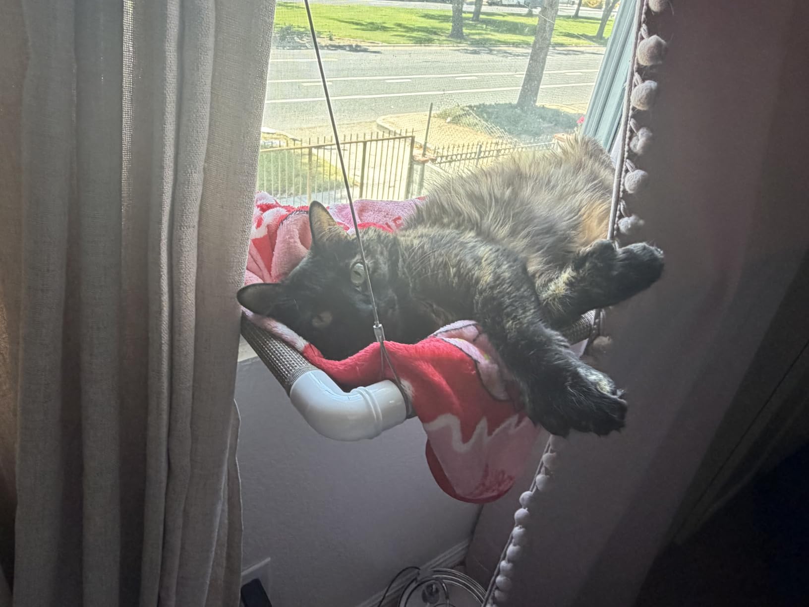 PEFUNY Cat Window Hammock – Mess-Free Waterproof Cats Window Perch for Large Cats, Strong Suction Cup Hammock with Flannel Cover, Indoor Cat Seat, Beige customer photo 1