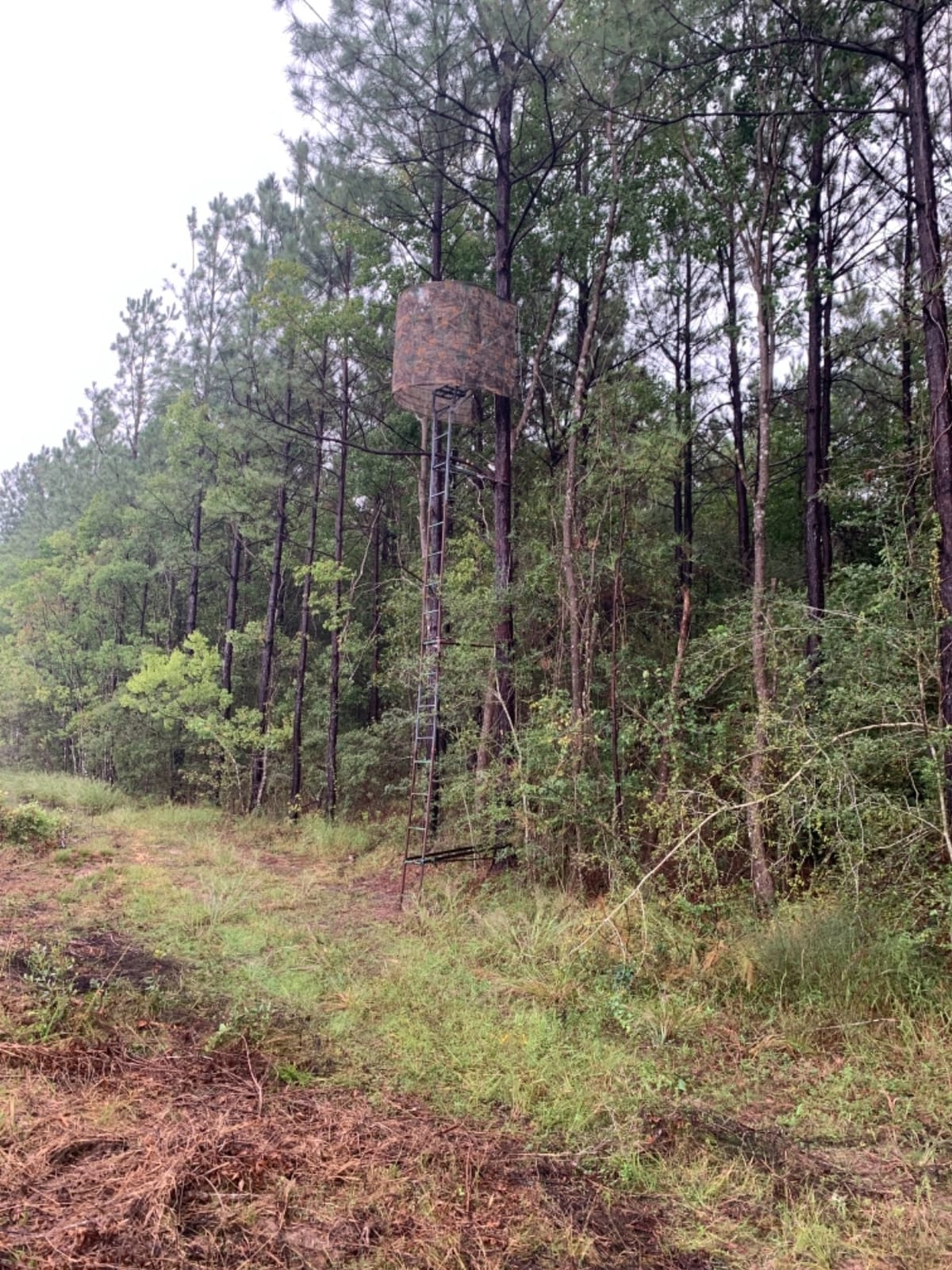 Allen Company Vanish Hunting Blind customer photo 2