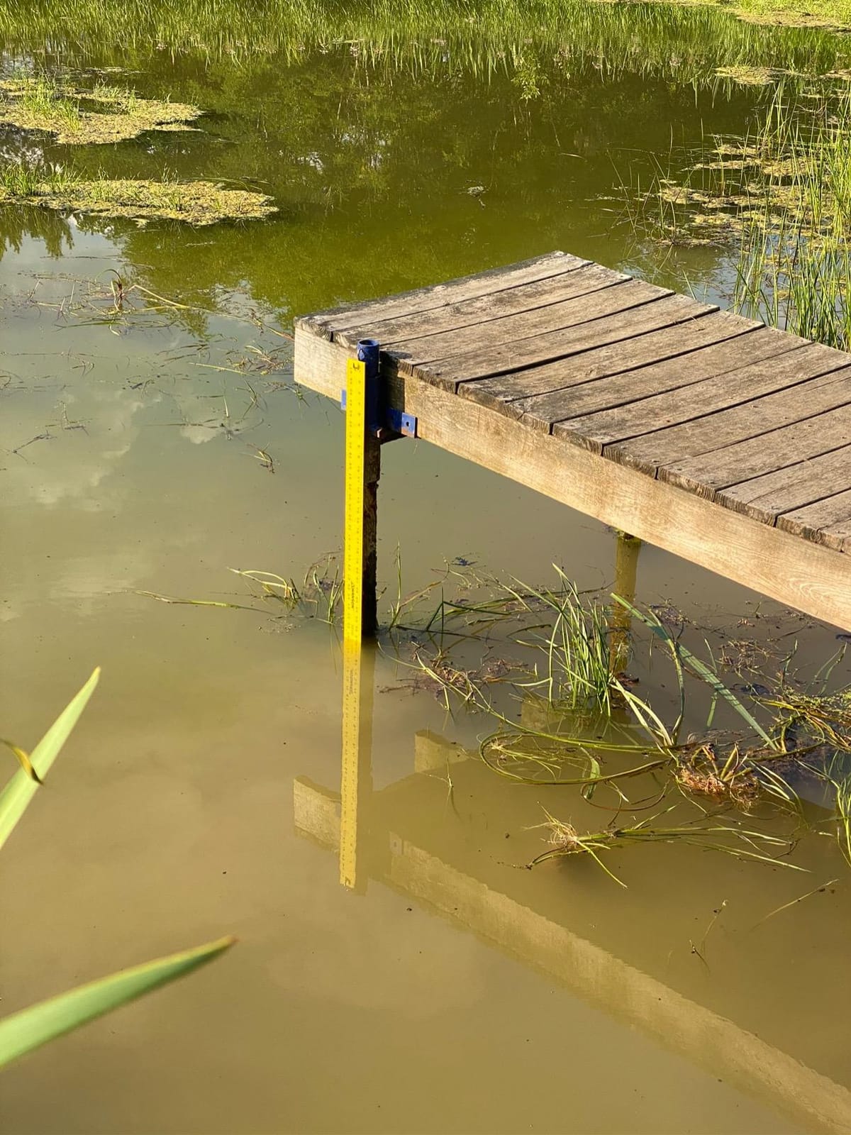 PAS20 Pond & Lake Aeration System for Up to 3 Acre, 3/4 HP Compressor + Two 100' Weighted Tubing + 2 Diffusers customer photo 1