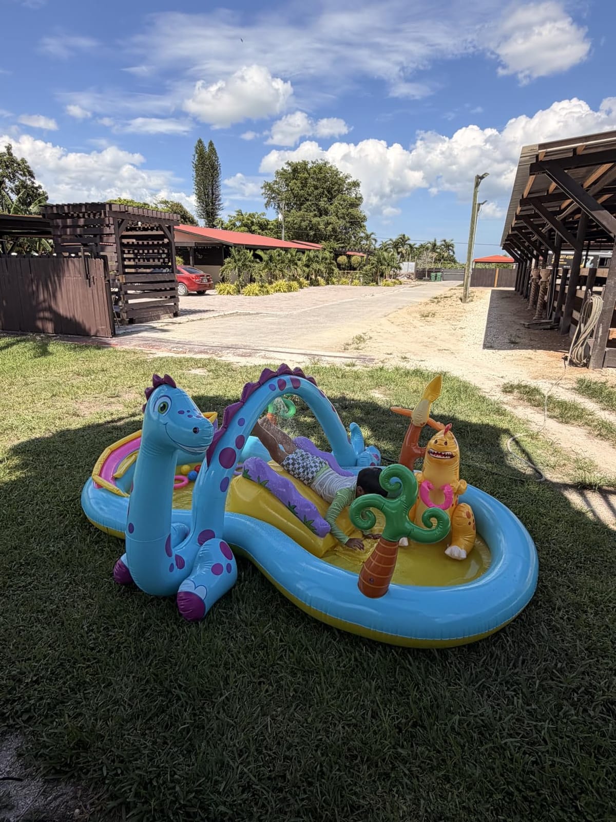 INTEX Gator Inflatable Swim Center & Kiddie Pool for Outdoor Play customer photo 1