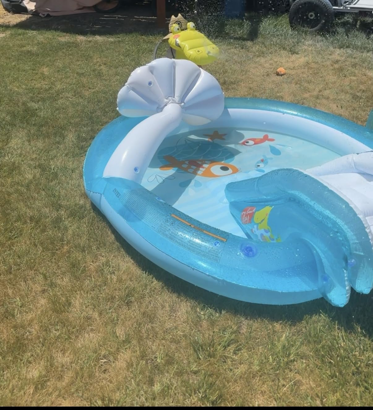 INTEX Gator Inflatable Swim Center & Kiddie Pool for Outdoor Play customer photo 2