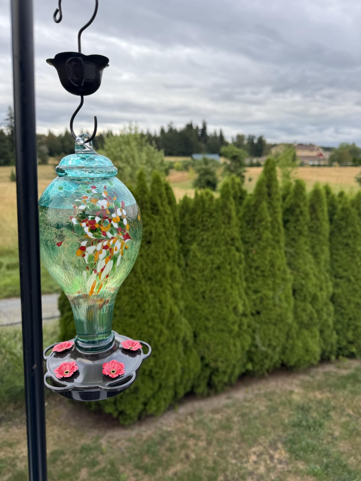 LUJII Hummingbird Feeder, Hand Blown Glass Hummingbird Feeder, Never Fade, 36 Fluid Ounces, 5 Feeding Metal Stations, Much Bigger, Garden Backyard Decorative, Containing Ant Moat (Blue) customer photo 1