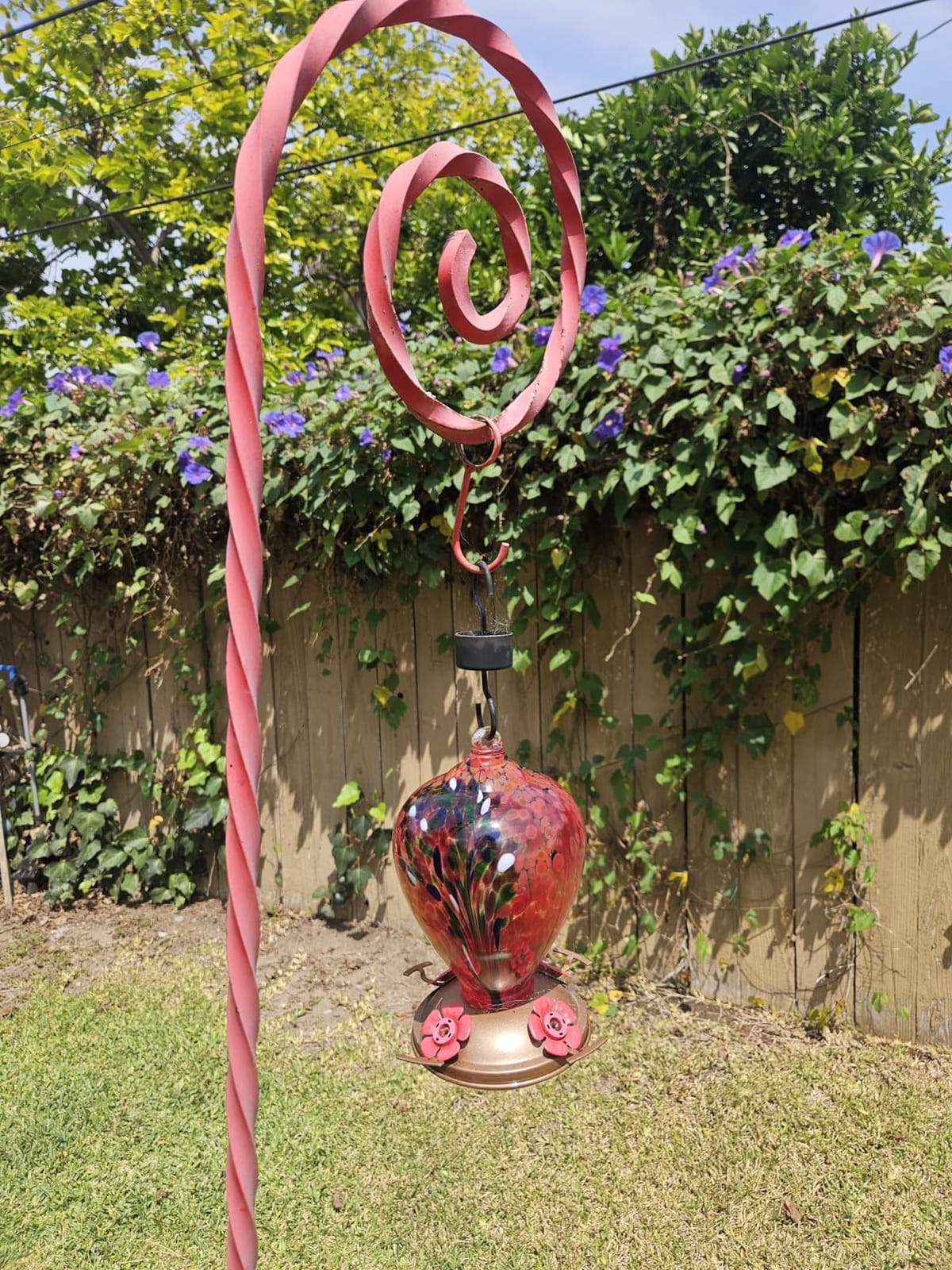 LUJII Hummingbird Feeder, Hand Blown Glass Hummingbird Feeder, Never Fade, 36 Fluid Ounces, 5 Feeding Metal Stations, Much Bigger, Garden Backyard Decorative, Containing Ant Moat (Blue) customer photo 2