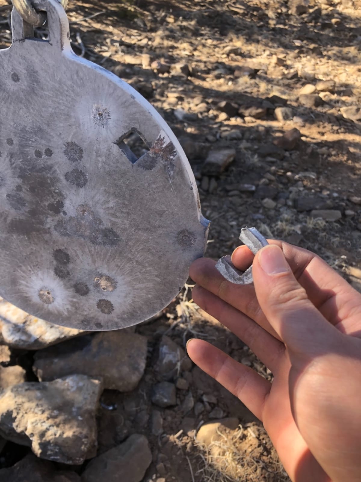 Dragon AR500 Steel Targets - 3/8