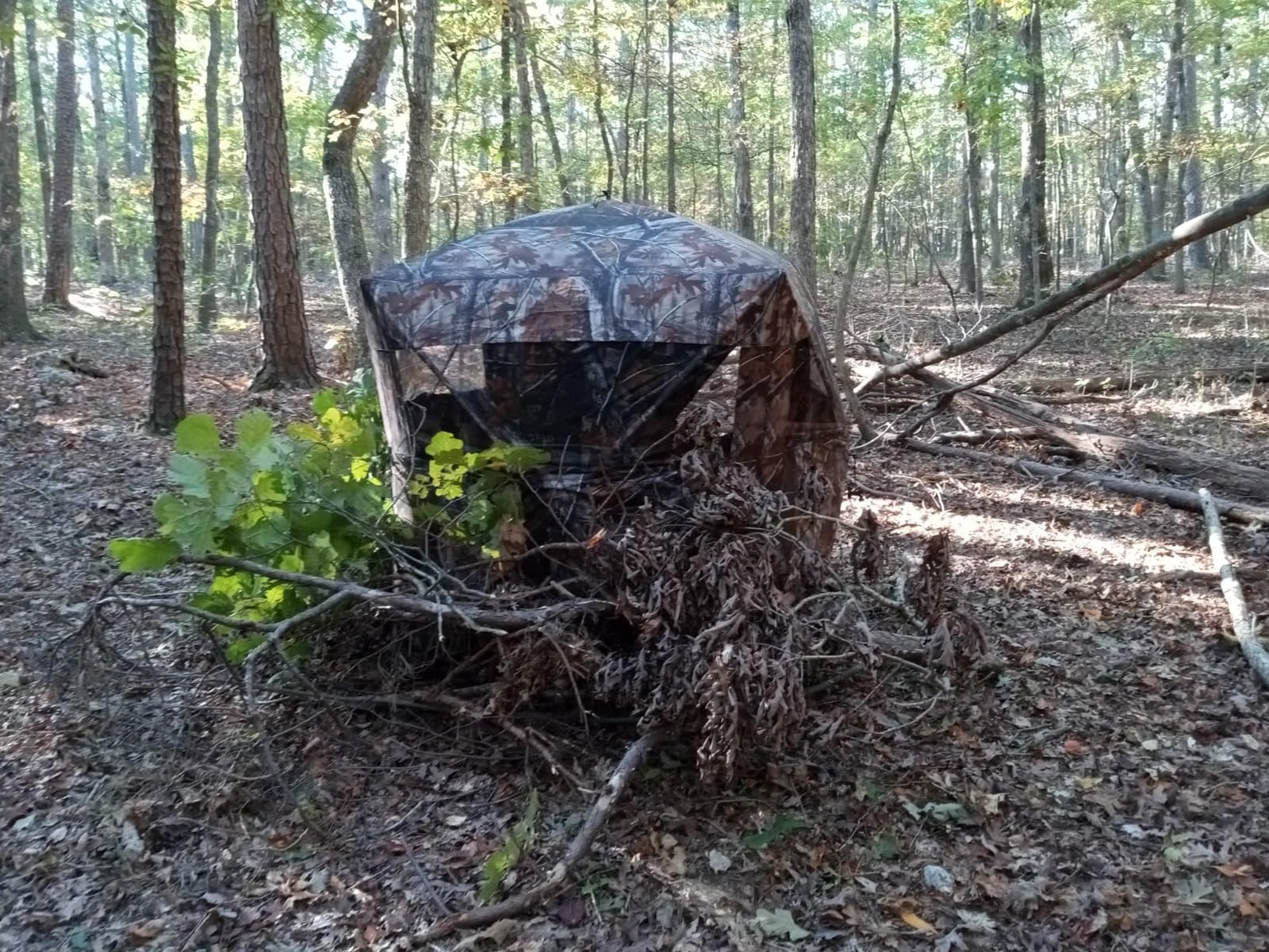 THUNDERBAY SPUR Collector 3 Person Hunting Blind, Portable Ground Blind with Silent Windows, Portable Durable Hunting Tent for Deer & Turkey Hunting customer photo 1