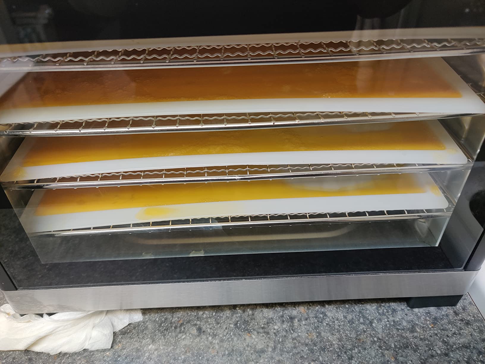 Cosori Food Dehydrator Accessories, Fruit Leather Roll Sheets for CP267-FD customer photo 2