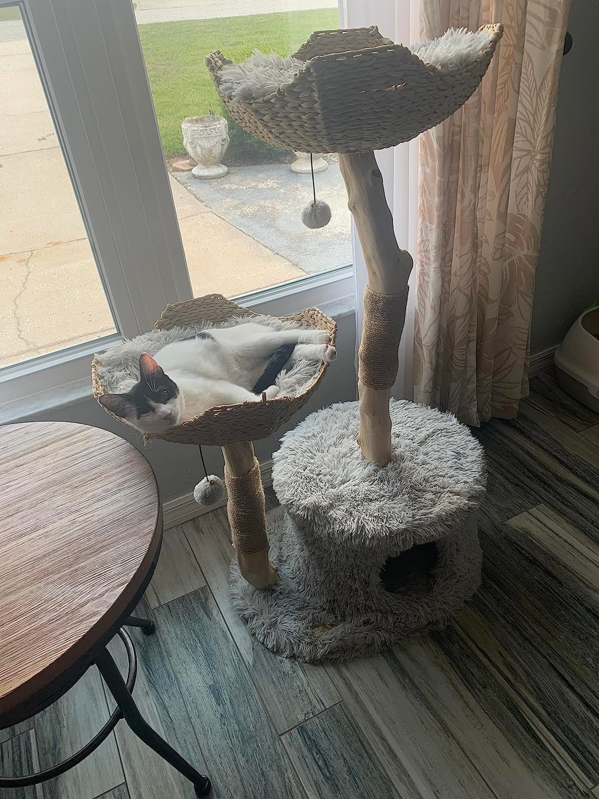 Mau - Modern Cat Tree Tower, Real Branch Wood Condo for Large Cats customer photo 1