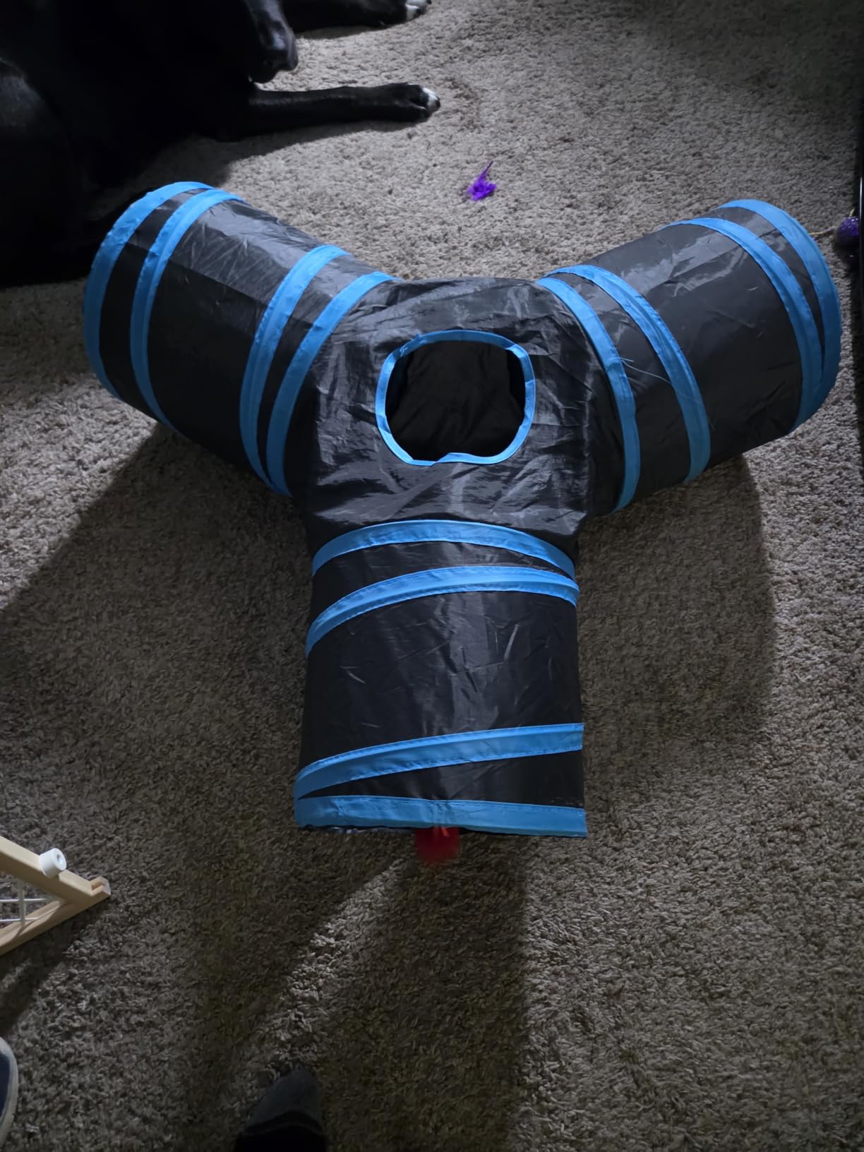 Tempcore Pet Tunnel Tube Cat Toys, Cat Tunnels for Indoor Cats customer photo 1