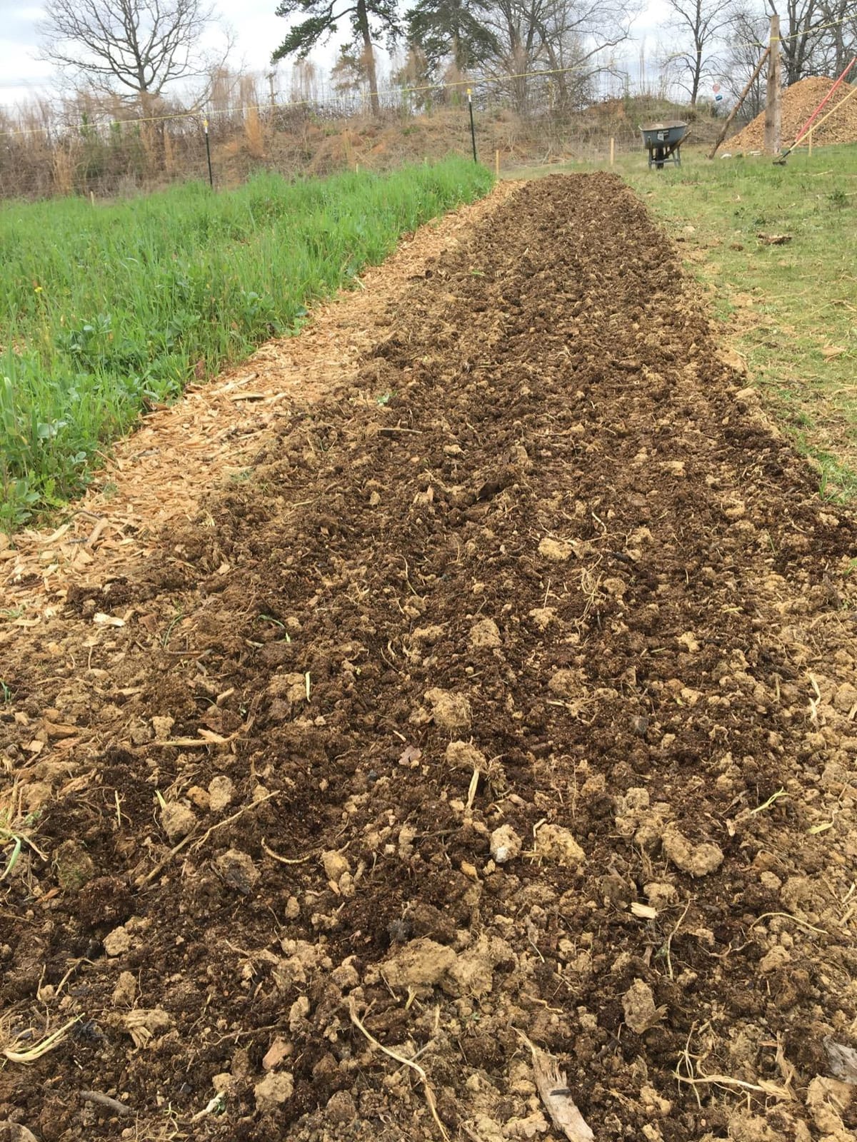 Varomorus Metal Precision Manual Seeder for Vegetables Greens Onion Radish Beets (4-Row) customer photo 2