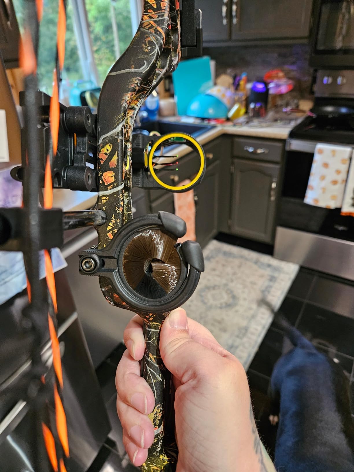 Bear Archery Royale Ready to Hunt Compound Bow Archery Set with Archery Accessories for Adults and Youths, 12”- 27” Draw Length, 5-50 Lbs Draw Weight, Up to 290 FPS customer photo 2