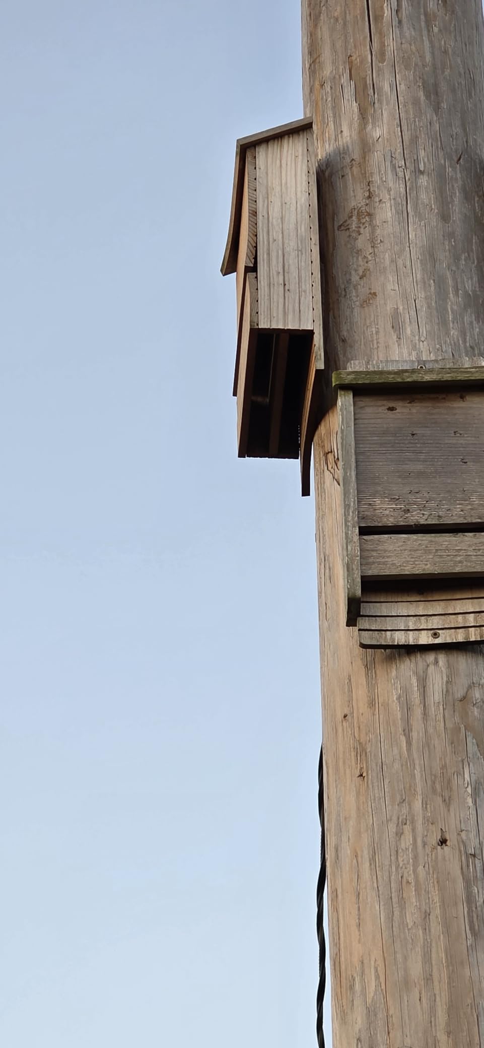 Bat House for Outdoors, Japanese Cedar, 2 Chamber, Brown customer photo 2