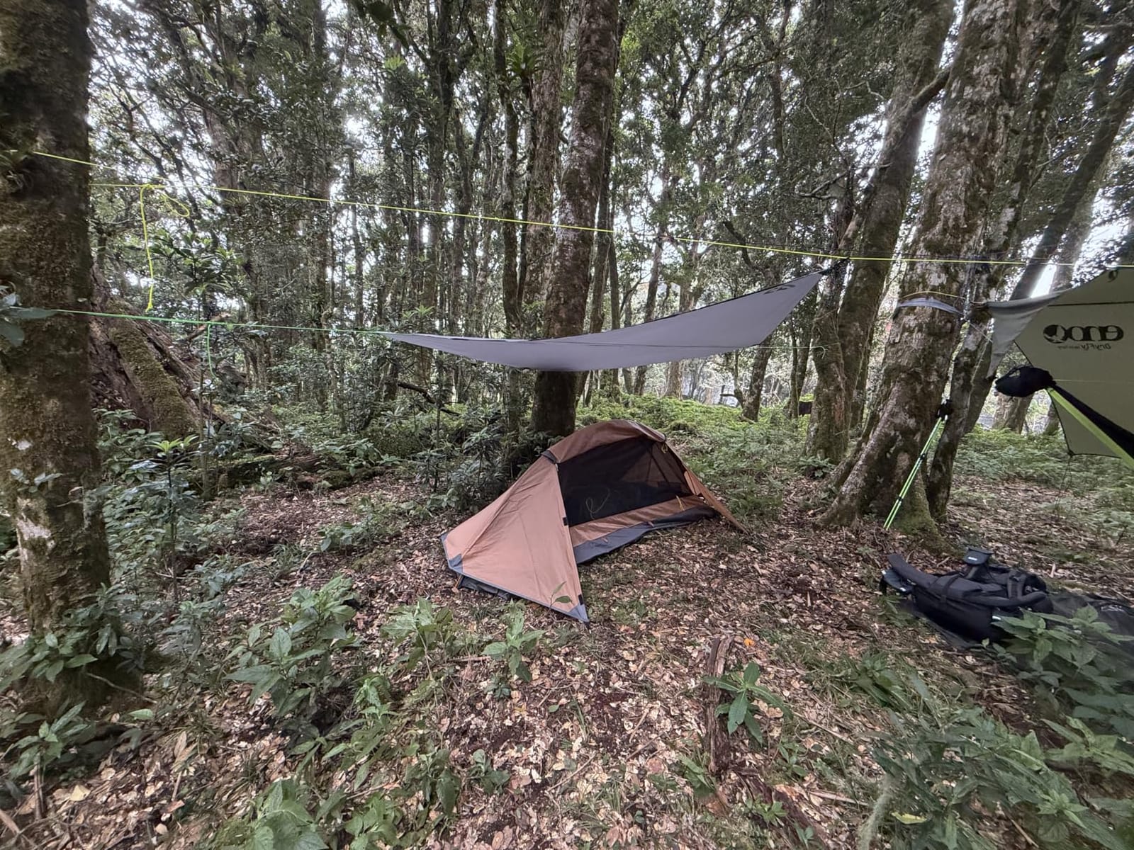 camppal 1 Person Tent for Camping Hiking Mountain Hunting Backpacking Tents 4 Season Resistance to Windproof Rainproof and Waterproof customer photo 1