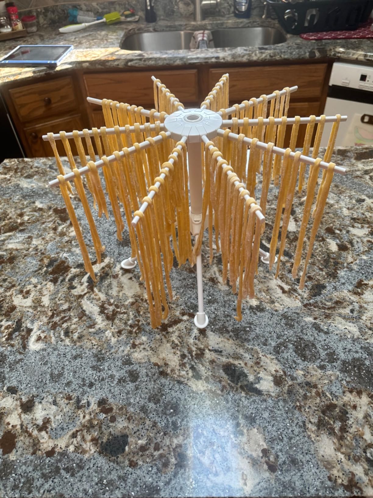 Cambom Collapsible Pasta Drying Rack - Spaghetti Noodle Drying Rack with 10 Bar Handles White customer photo 2