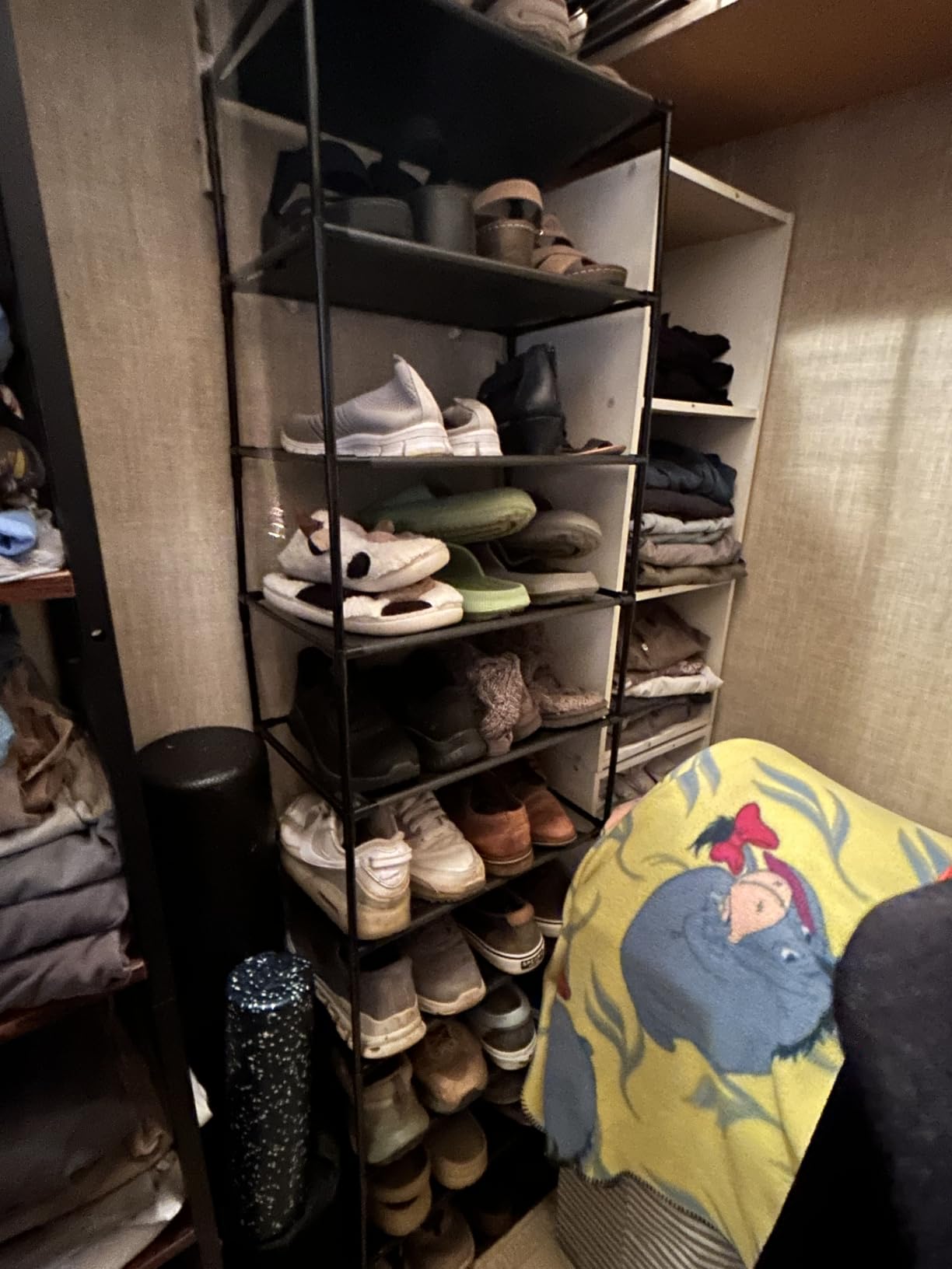 FIDUCIAL HOME 10 Tiers Shoe Rack Organizer 20 Pairs Tall Shoe Shelf | Tall Narrow Space Saving for Closet Entryway Dorm, Easy to Assemble, 17