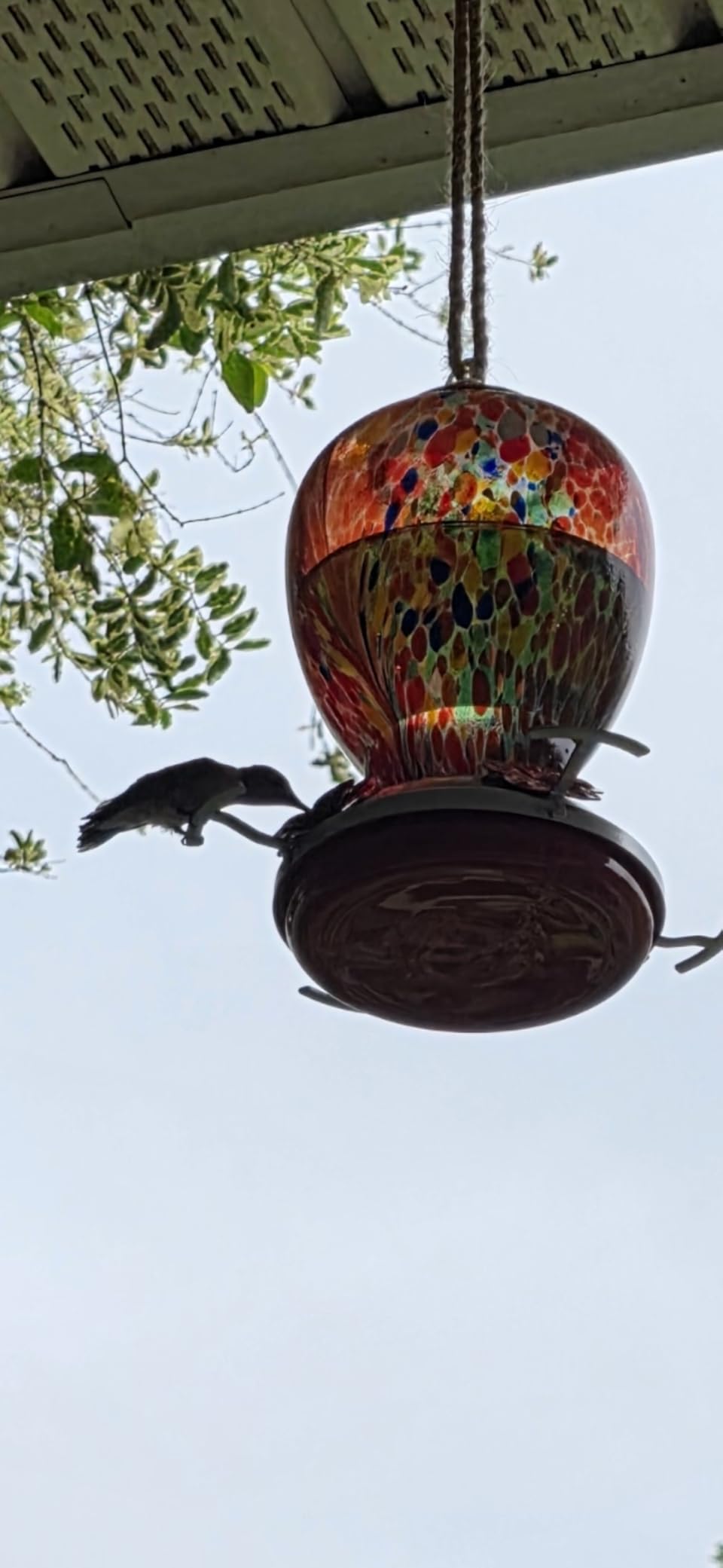 WOSIBO Hummingbird Feeder for Outdoors Patio Large 32 Ounces Colorful Hand Blown Glass Hummingbird Feeder with Ant Moat Hanging Hook, Rope, Brush and Service Card (RED-Firework) customer photo 1