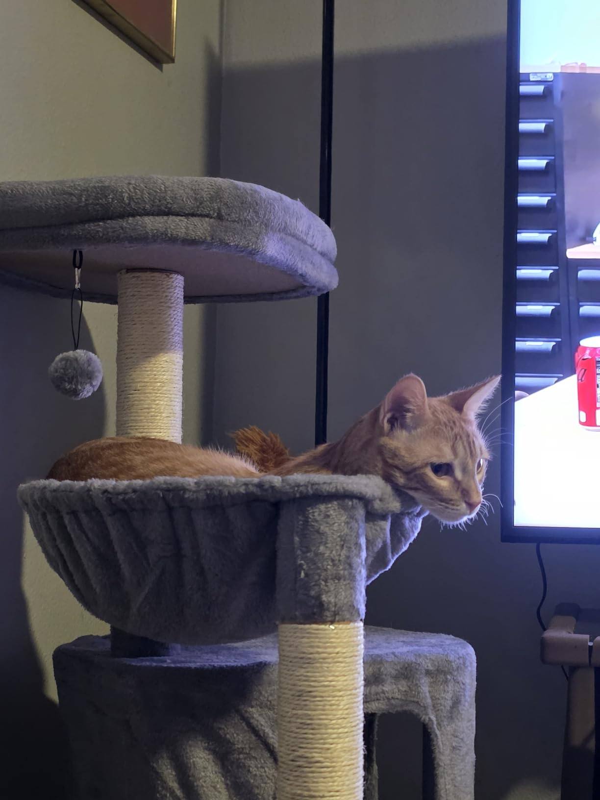 YUNIQUE Cat Tree with Cat Condo and Big Hammock, Grey customer photo 1