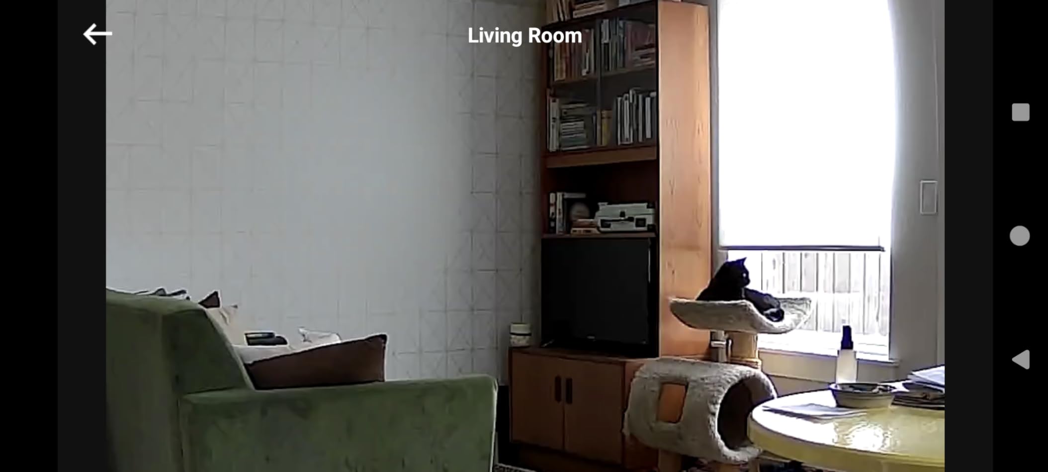 eufy Security Indoor Cam E220, Dog/Pet Camera, Pan and Tilt | 2K Wi-Fi Plug-in, AI Tracking and Alerts, Night Vision, HomeBase 3/Mini/Prof S1 Compatible, Voice Assistant Support customer photo 1