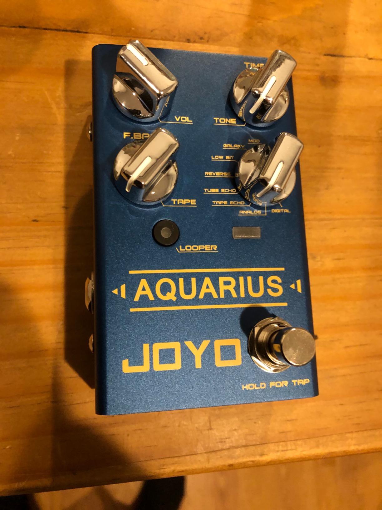 JOYO Multi-Mode Delay & Looper Guitar Pedal, 8 Effects incl. Galaxy/Tape Echo with Tap Tempo & 5-Min Loop, Bypass (Aquarius R-07) customer photo 1