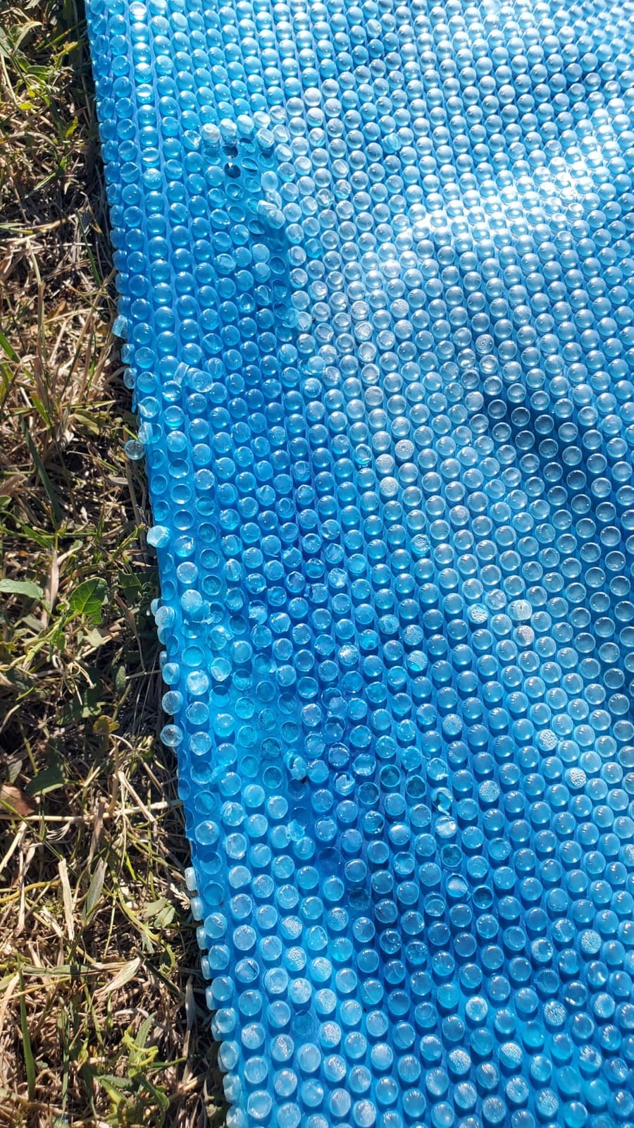 Doheny's Clear-Tek Micro Bubble Solar Pool Cover for Above Ground Swimming Pools | Increase Solar Energy Absorption, Retain Heat, Reduce Evaporation, Reduce Heat Loss & Save, 18 ft Round Blue 1600 customer photo 1