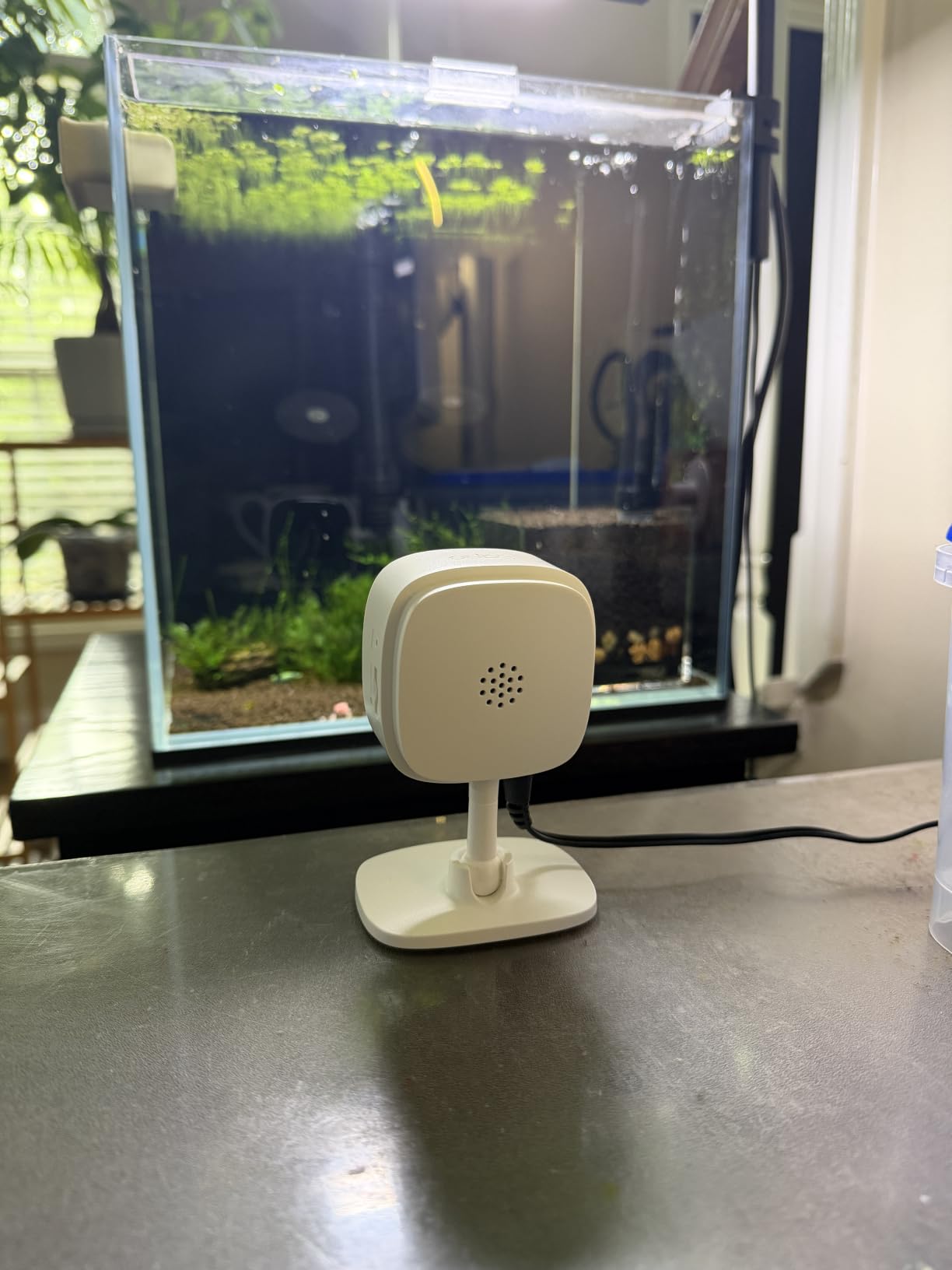 Tapo 1080P Indoor Security Camera, Baby Monitor, Dog Camera, Wired, C100 customer photo 1