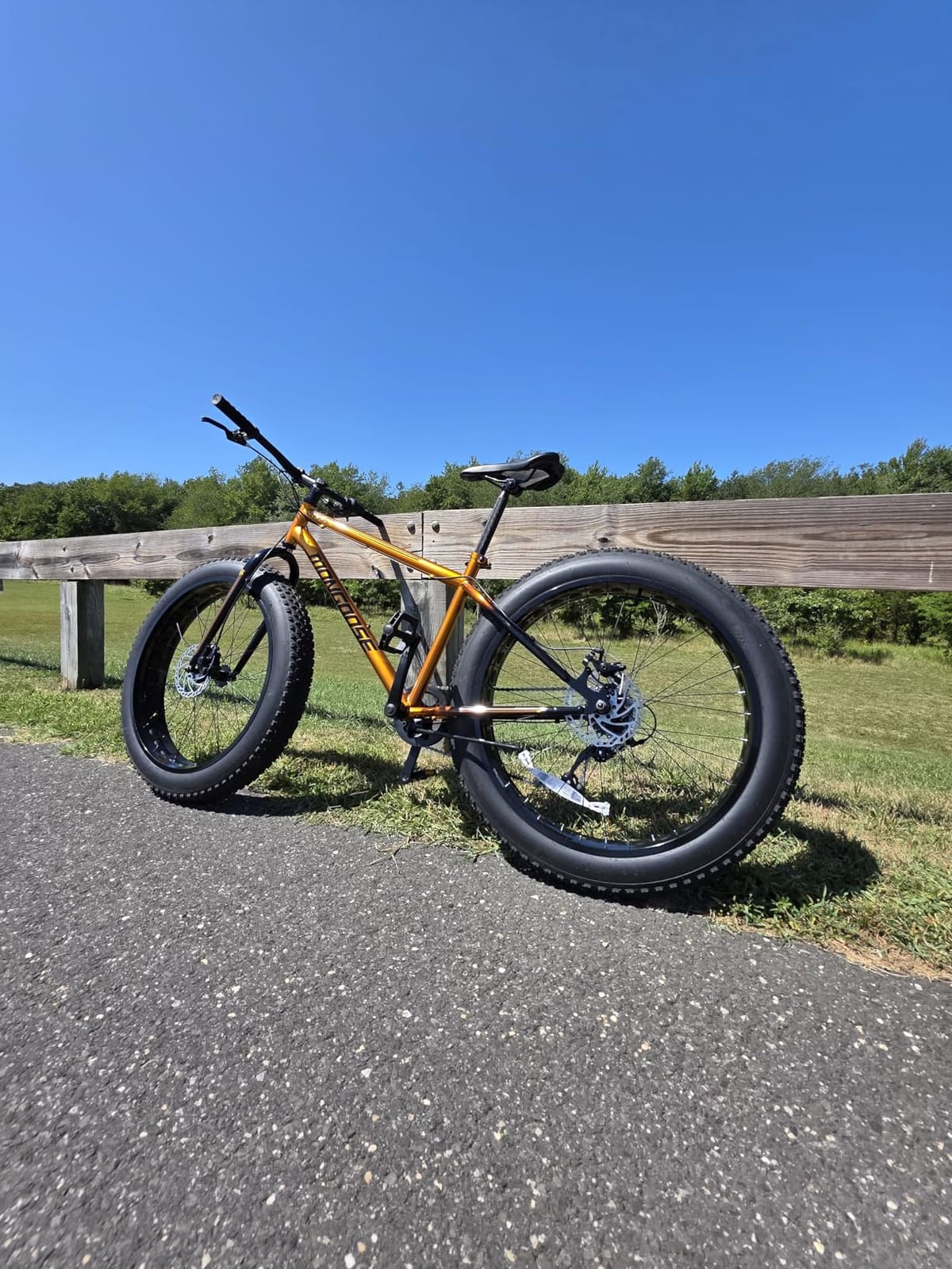 Mongoose Argus Trail or ST Fat Tire Mountain Bike, 20, 24 or 26 Inch Bike for Kids and Adults, 7 or 16 Speed, Aluminum or Steel Frame, Knobby Mountain Fat Tires, Mechanical Disc Brakes customer photo 1
