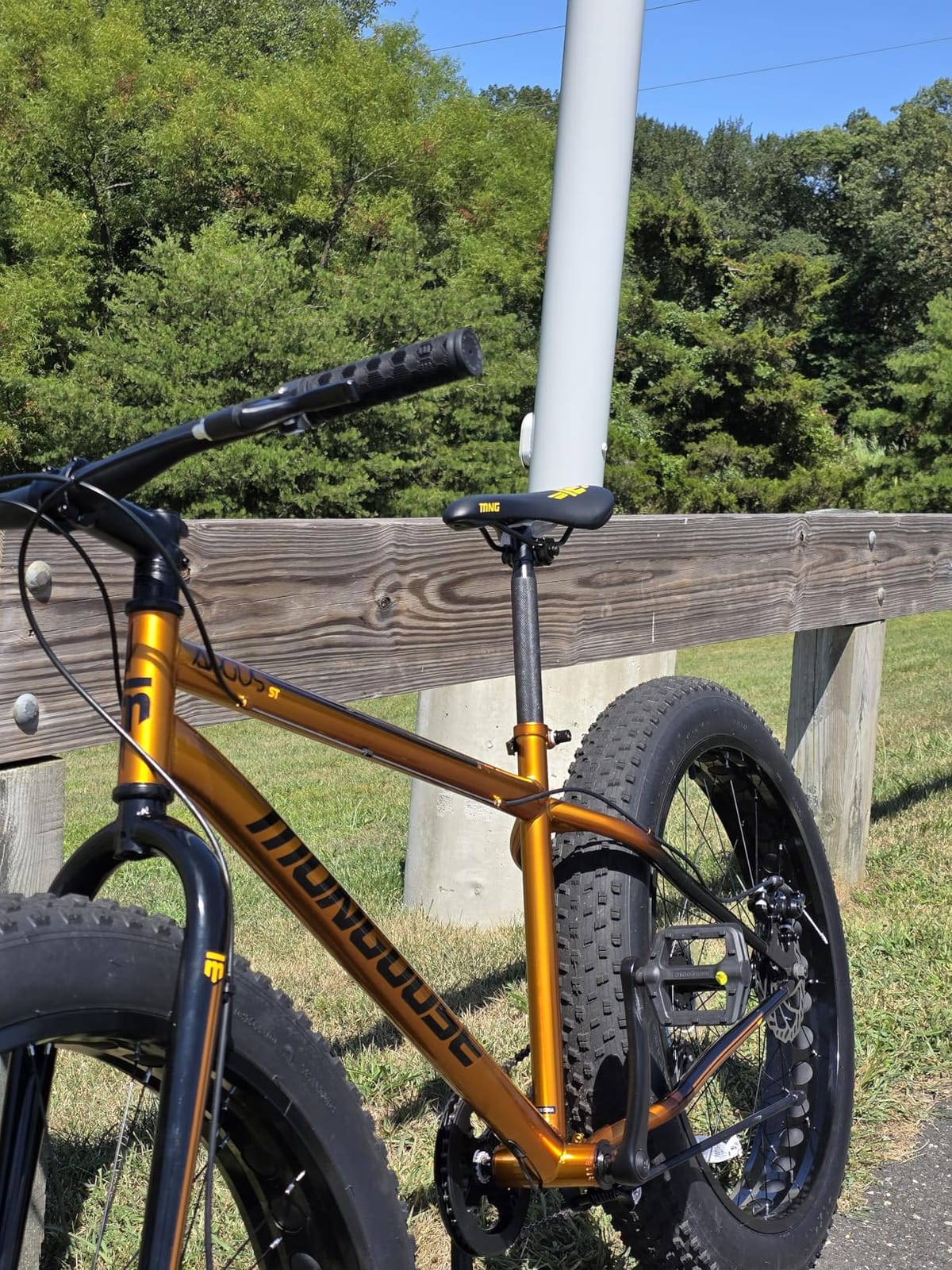 Mongoose Argus Trail or ST Fat Tire Mountain Bike, 20, 24 or 26 Inch Bike for Kids and Adults, 7 or 16 Speed, Aluminum or Steel Frame, Knobby Mountain Fat Tires, Mechanical Disc Brakes customer photo 2