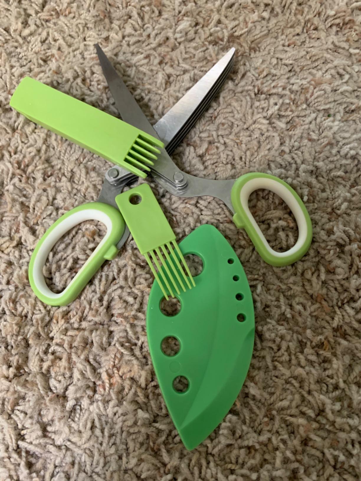 Herb Scissors with 5 Blades & Cleaning Kit, Stainless Steel Kitchen Shears for Herbs, Lettuce, Cilantro, Dishwasher Safe, Soft-Grip Handle customer photo 1