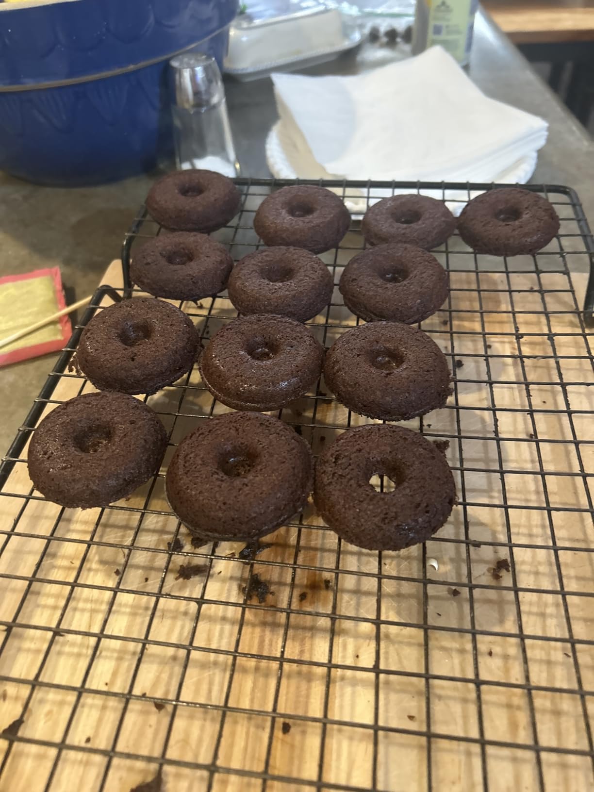 Dash Express Mini Donut Maker, 7 Donuts, Aqua customer photo 1