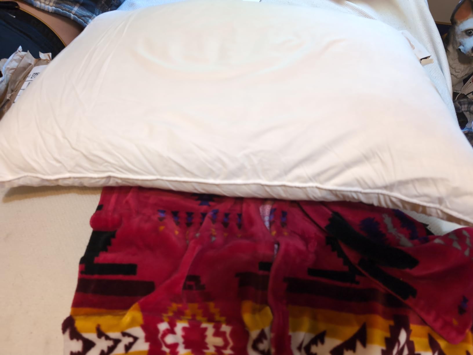 Goose Feathers and Down Pillows, Bed Pillows Queen Size Set of 2 customer photo 2