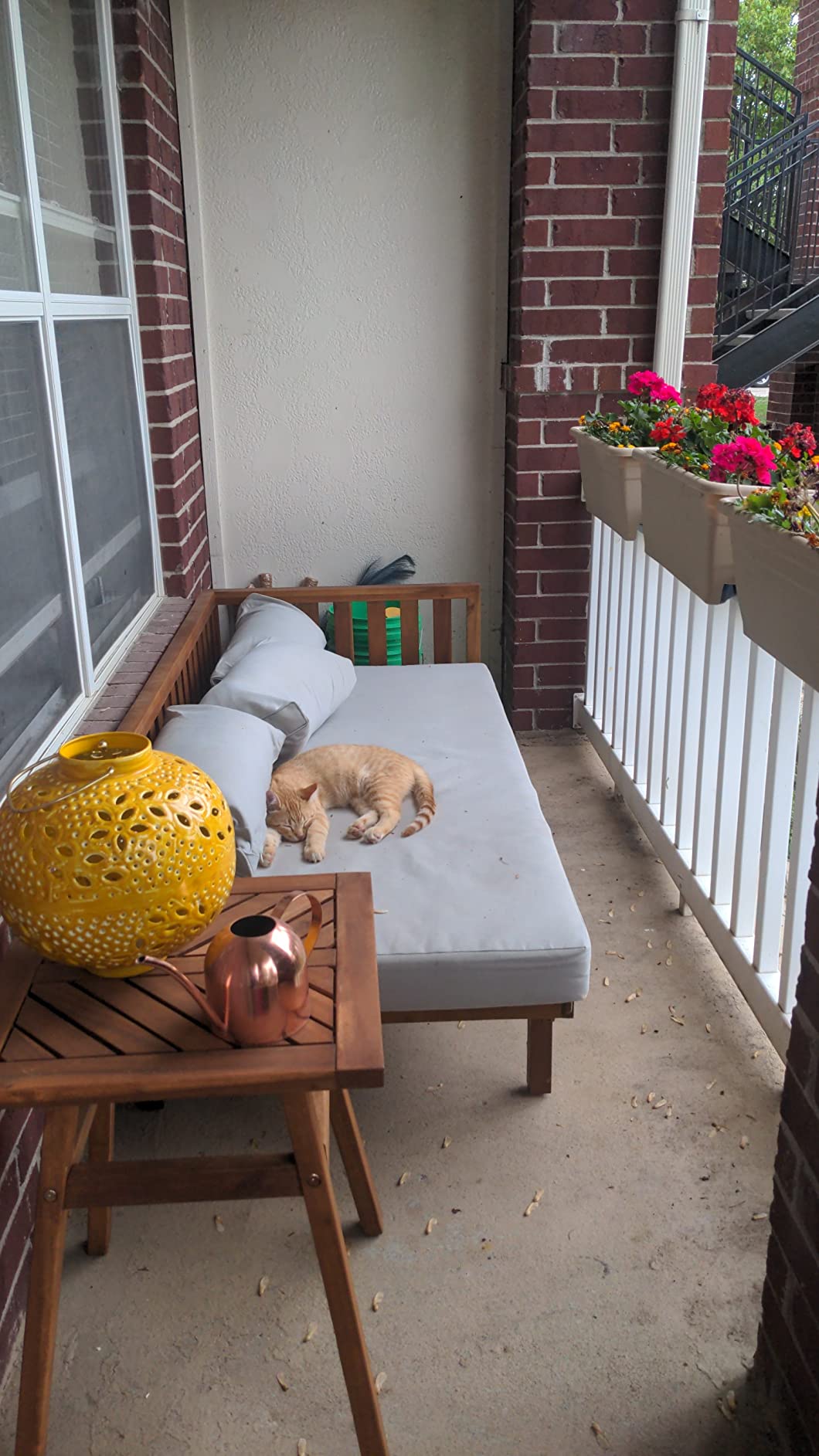 Christopher Knight Home Tina Outdoor 3 Seater Acacia Wood Daybed, Teak Finish, Light Grey customer photo 2