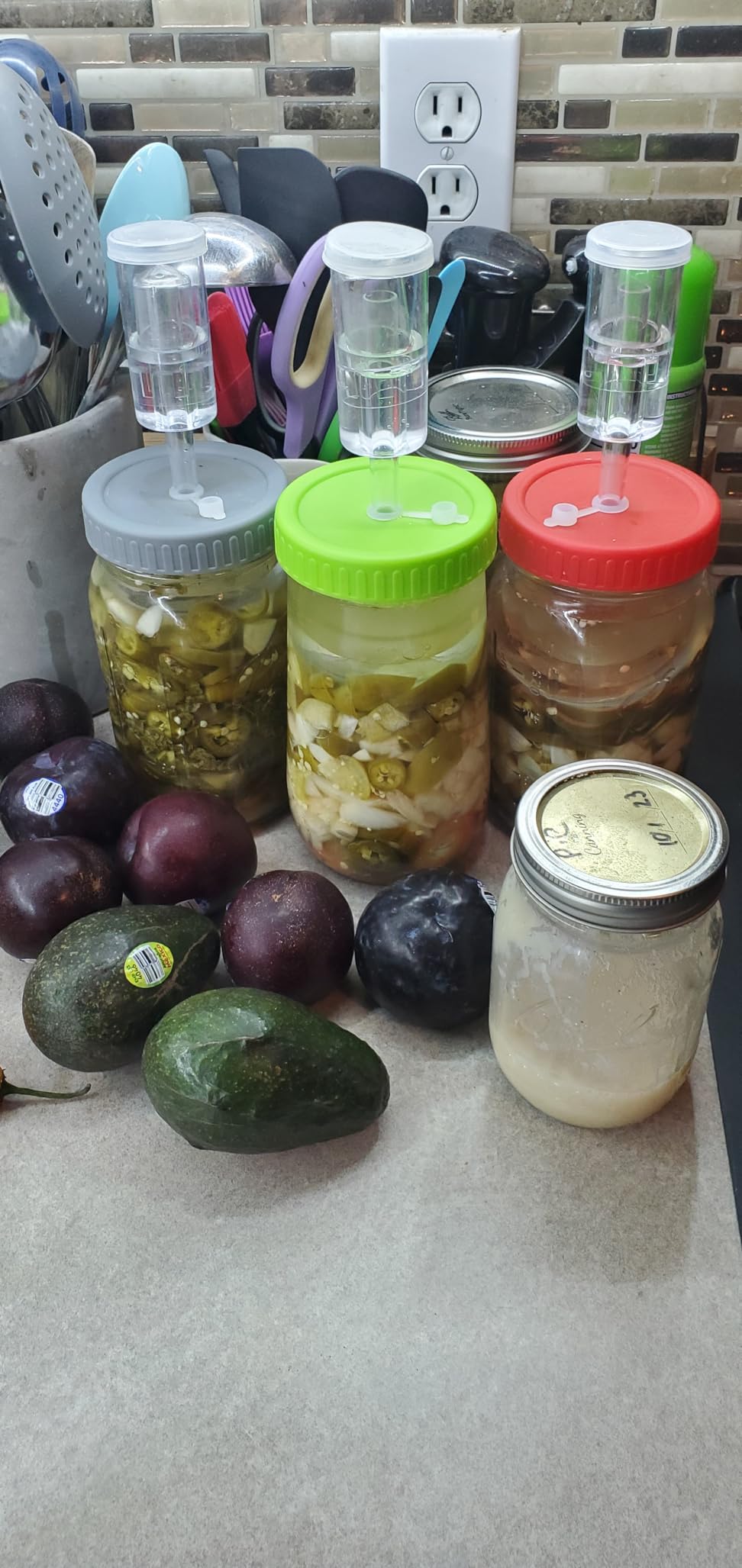 Fermentation Lids, Fermentation Kit for Wide Mouth Jars, 6 Set Plastic Fermenting Lids with 6 Airlocks, 6 Silicone Grommets, 6 Silicone Rings(Jars Not Included) customer photo 1