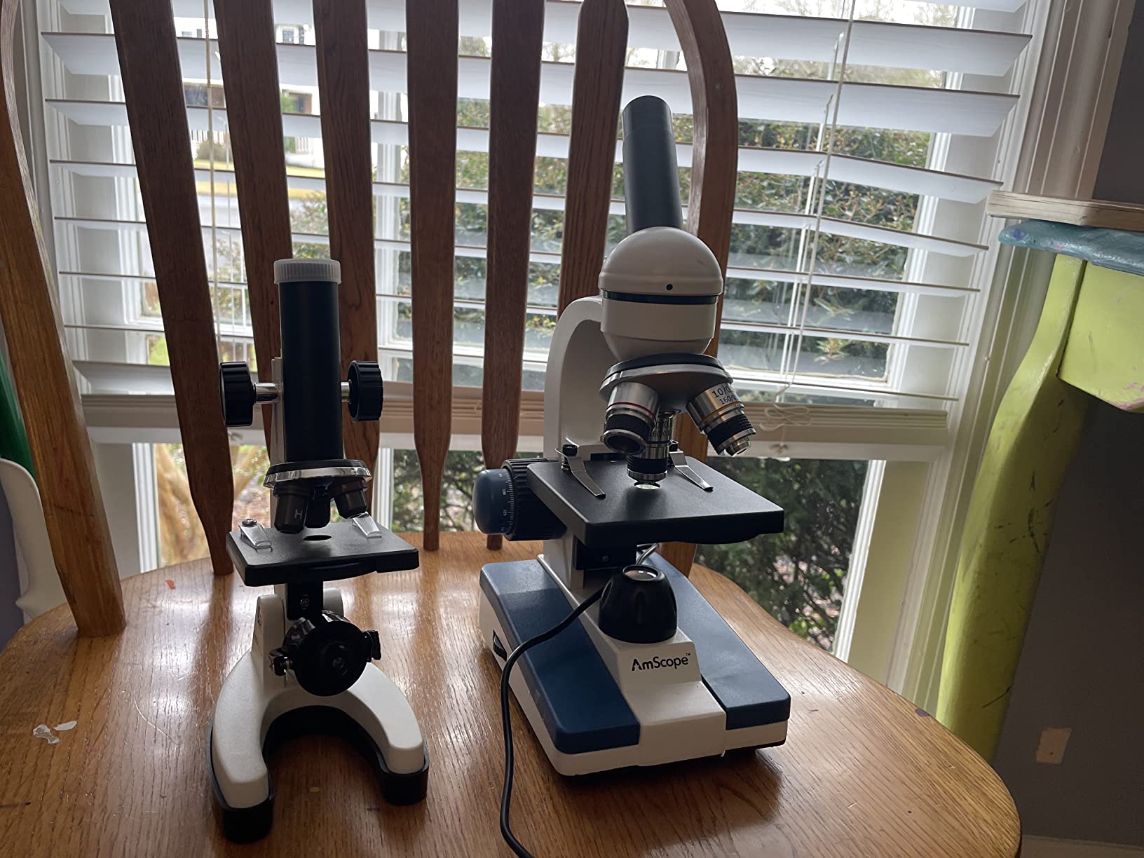 AmScope M40-K-MDM35 1200X Monocular Compound Microscope Digital Camera Kit customer photo 1