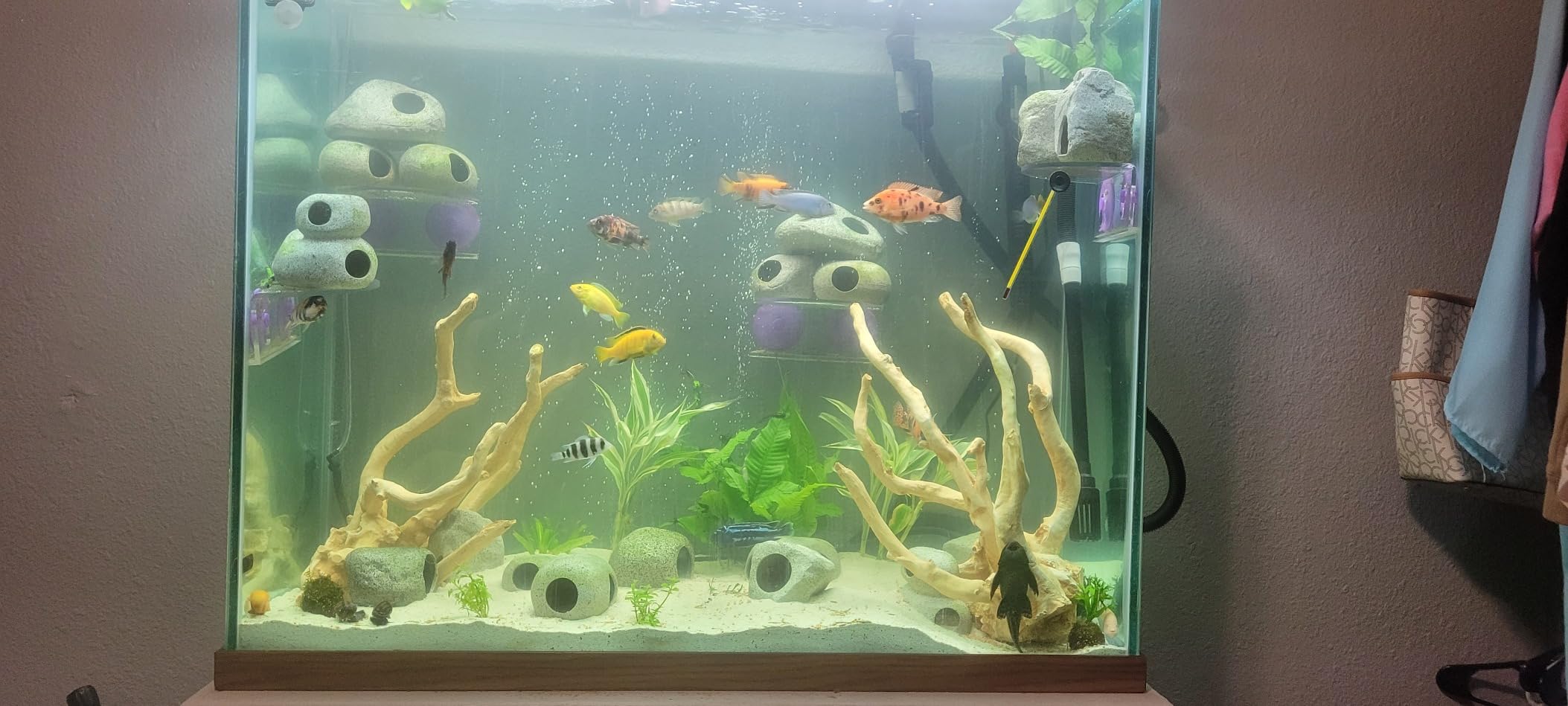 Fluval in Line UVC Clarifier for Aquarium Filters customer photo 2