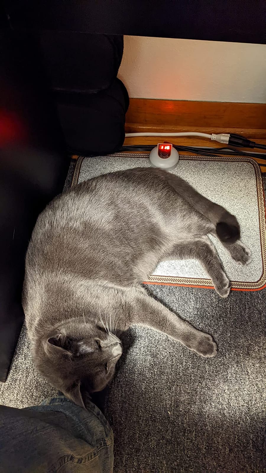 Electric Heated Floor Mats Under Desk, Heated Foot Warmer - 110v Toes Warming Heater for Office and Home(Stone Grain) customer photo 1