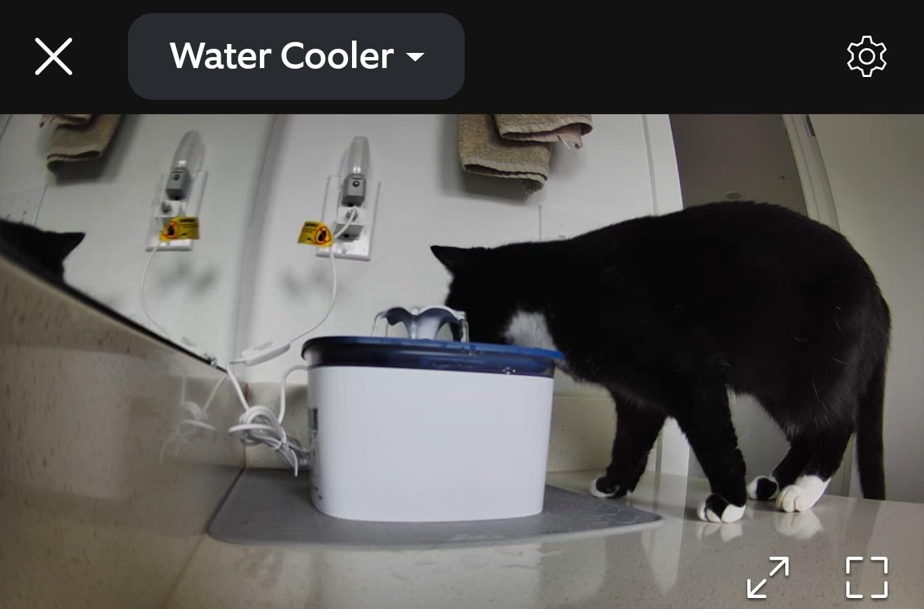 Veken Innovation Award Winner 95oz/2.8L Cat Water Fountain, C1 Classic customer photo 2