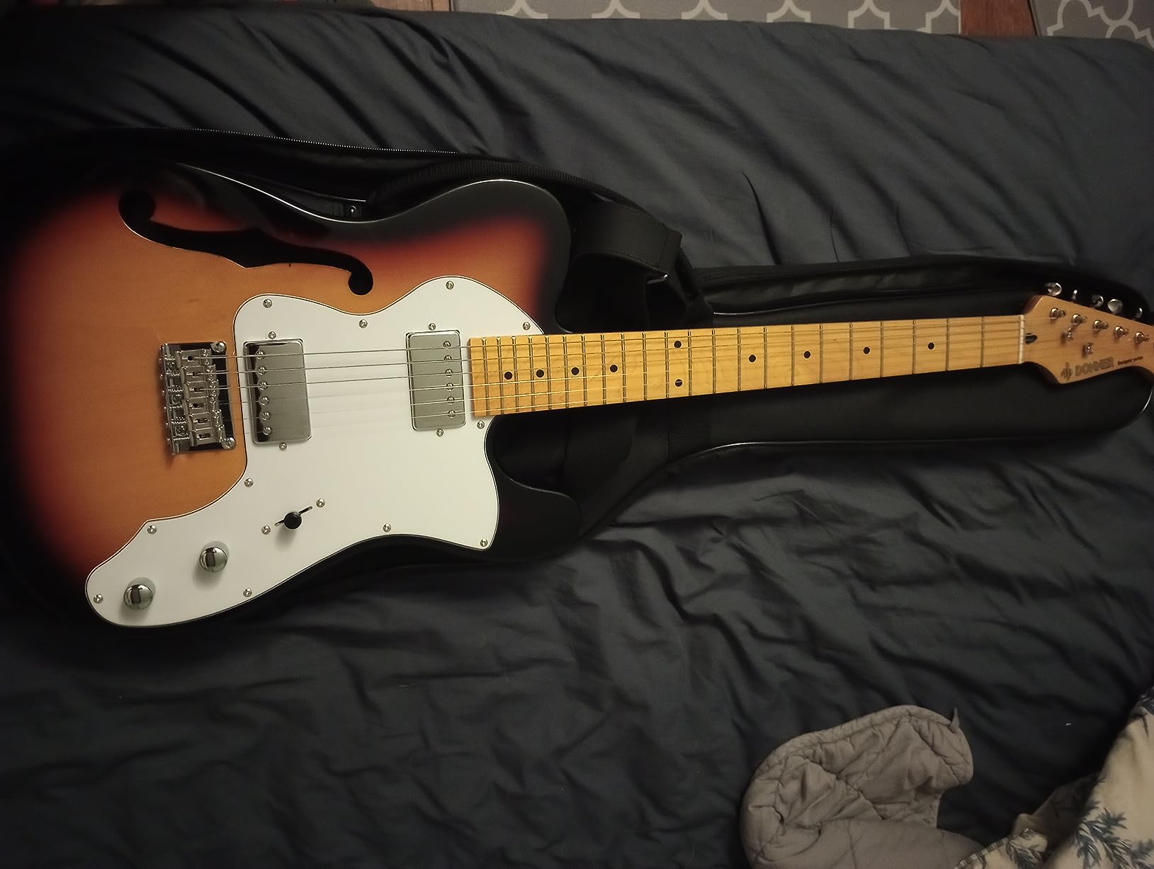 Donner 39 Inch Jazz Electric Guitar TL Thinline F Hole Beginner Full Size Hollow Guitar with H-H Pickups,Bag, Strap, Cable,Sunburst(DJC-1000S) customer photo 1