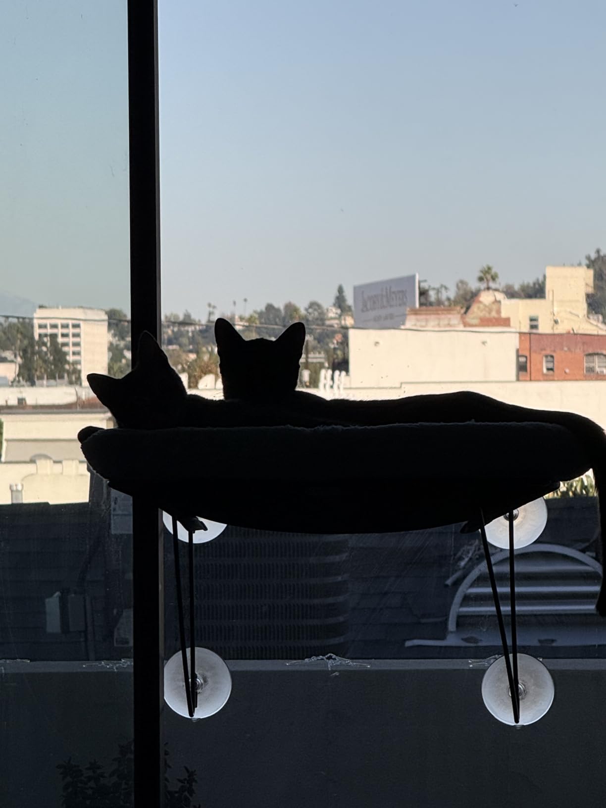 Zakkart Cat Window Perch, 100% Metal Supported from Below (White) customer photo 1