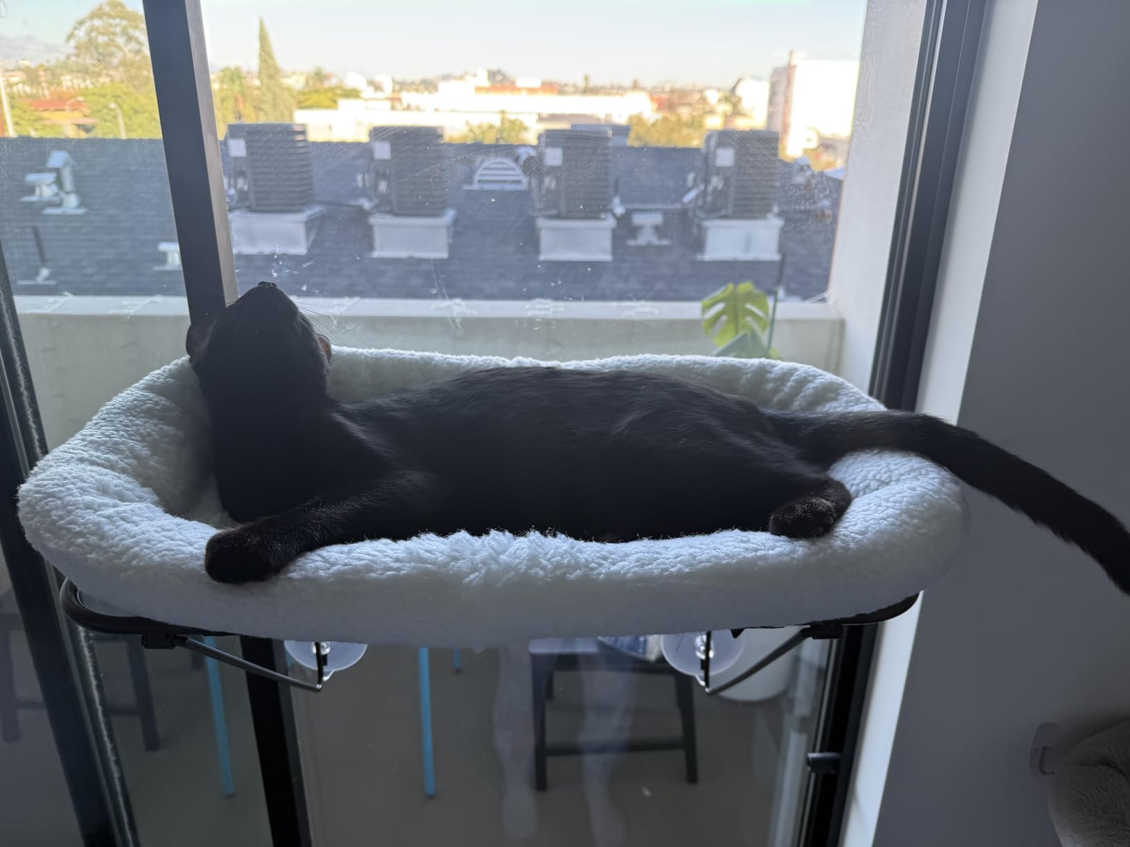 Zakkart Cat Window Perch, 100% Metal Supported from Below (White) customer photo 2