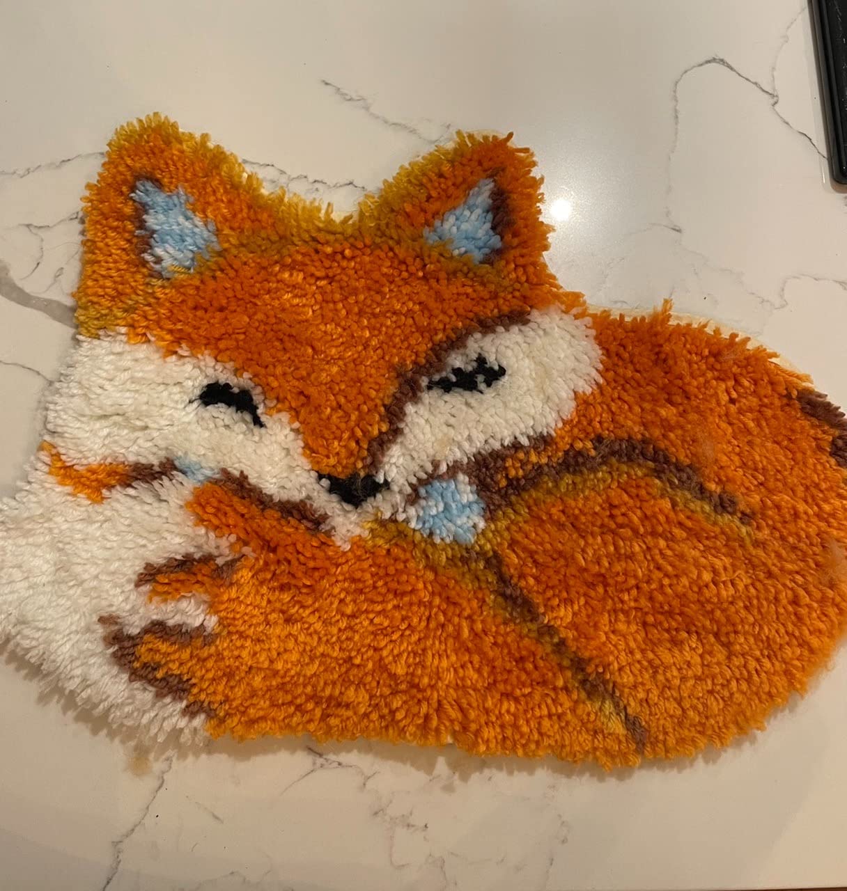 Latch Hook Kits for Adults, DIY Rug Kits Special-Shaped Animal Fox customer photo 2