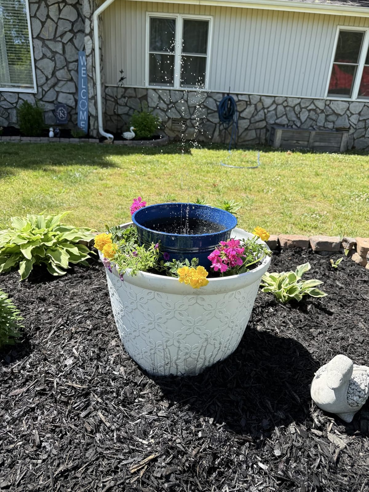 Solar Fountain, Floating Solar Powered Water Fountain Pump for Bird Bath, Garden, Pond, Pool, Outdoor (1W) customer photo 2