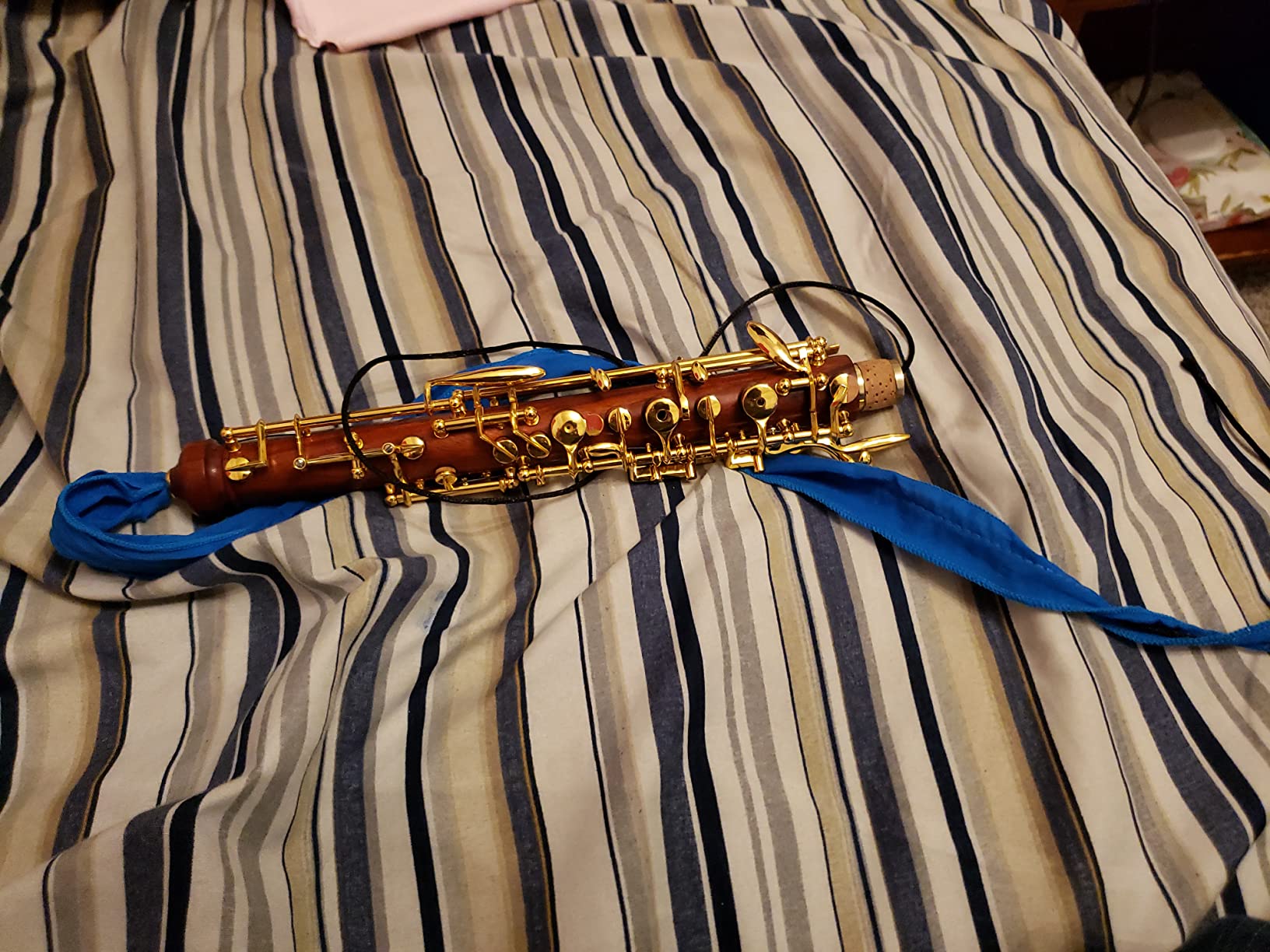 Rochix Oboe Professional Performance Level RHG13 Redwood Body Gold Plated Semi Automatic C Tone with 2 Reeds,1 Cleaning Cloth,1 Oboe Swab,1 Thumb Rest,1 Case and More customer photo 2